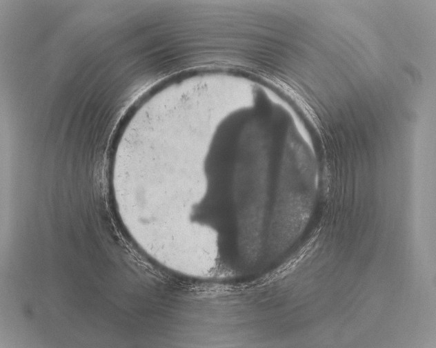 X0000115400783200912151519