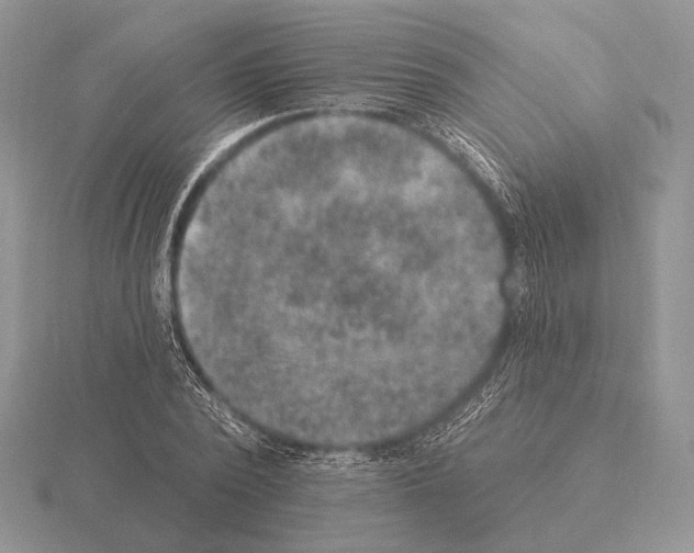 X0000115400784200912151519