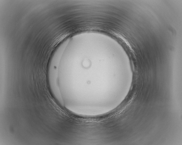 X0000115400785200912151519