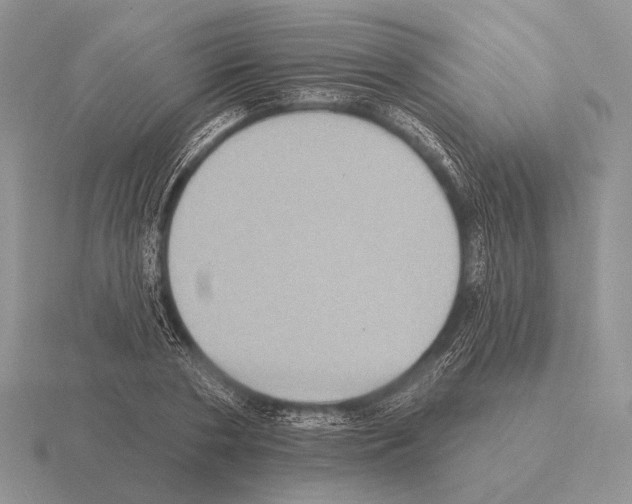 X0000115400786200912151519