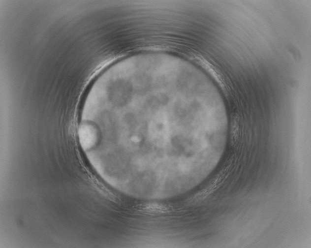 X0000115400787200912151519