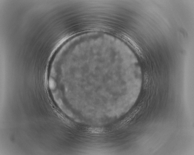 X0000115400788200912151519