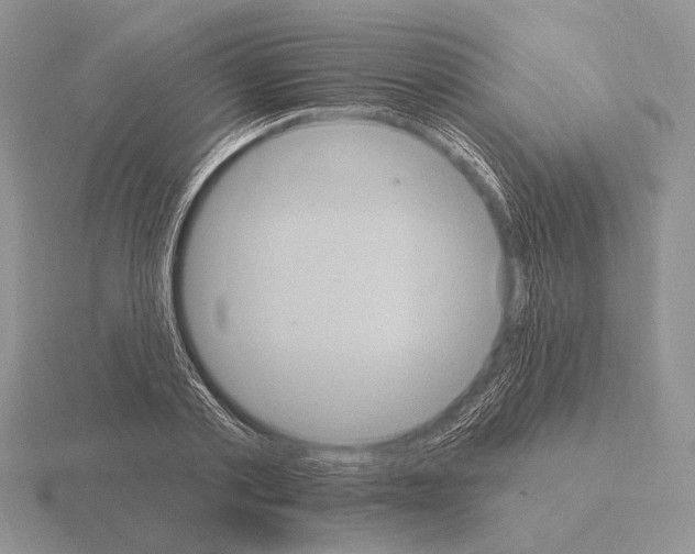 X0000115400789200912151519