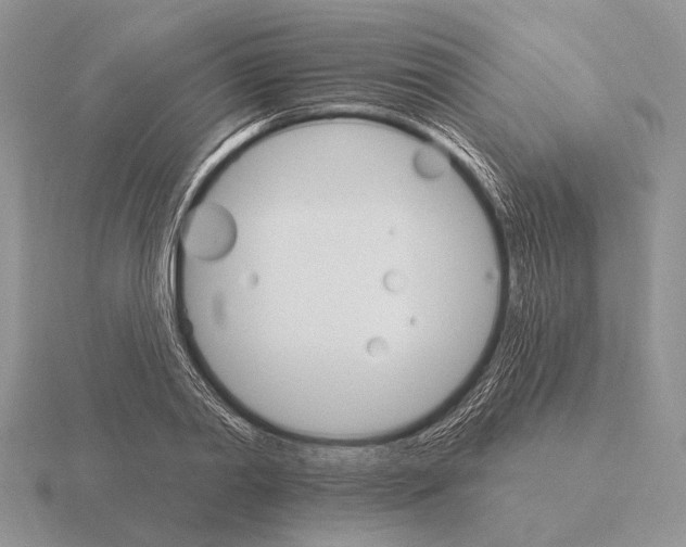 X0000115400790200912151519