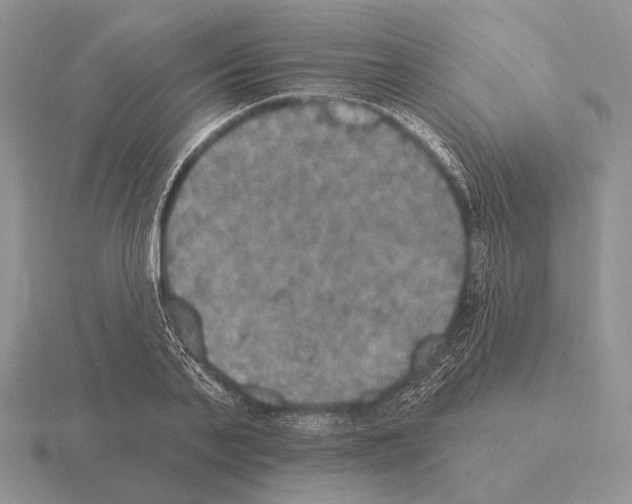 X0000115400791200912151519