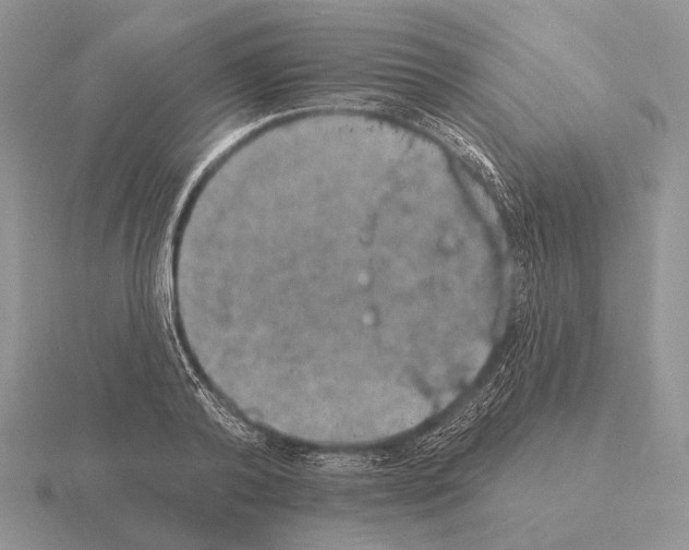 X0000115400792200912151519