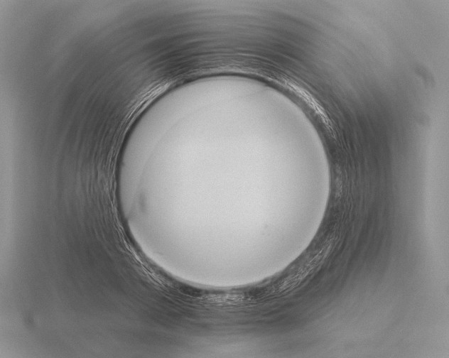 X0000115400793200912151519