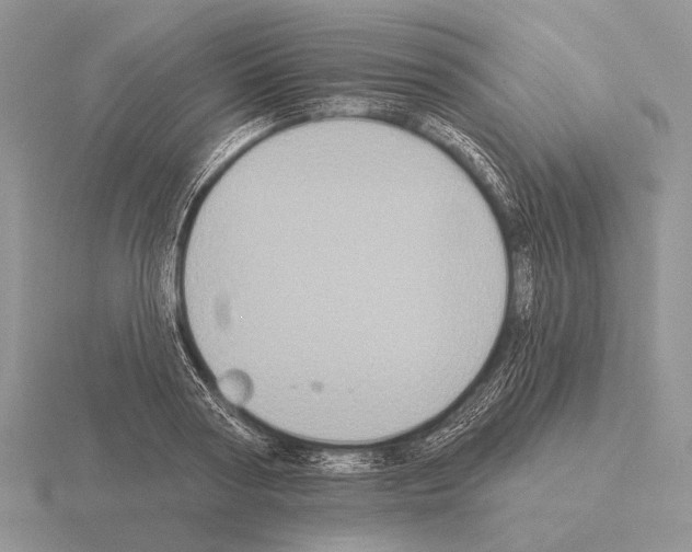 X0000115400794200912151519