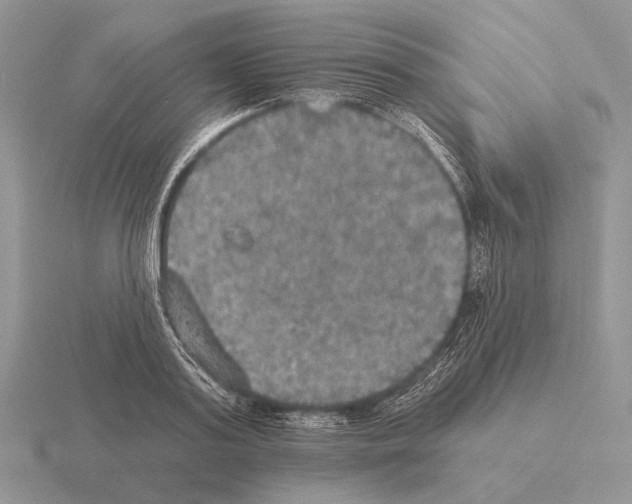 X0000115400795200912151519