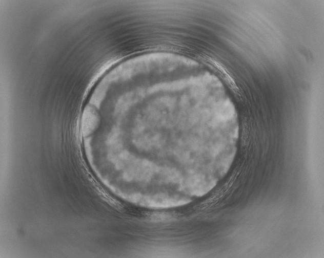 X0000115400796200912151519