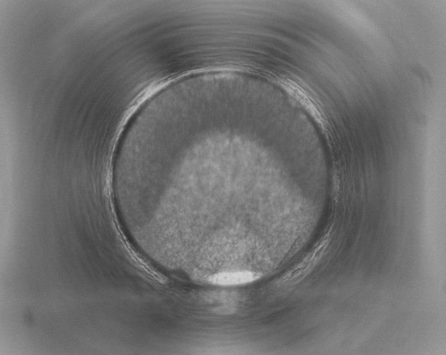 X0000115400797200912151519