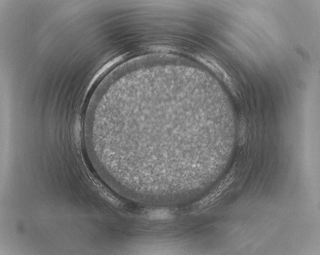 X0000115400798200912151519