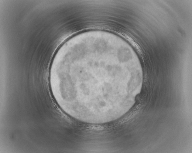 X0000115400799200912151519