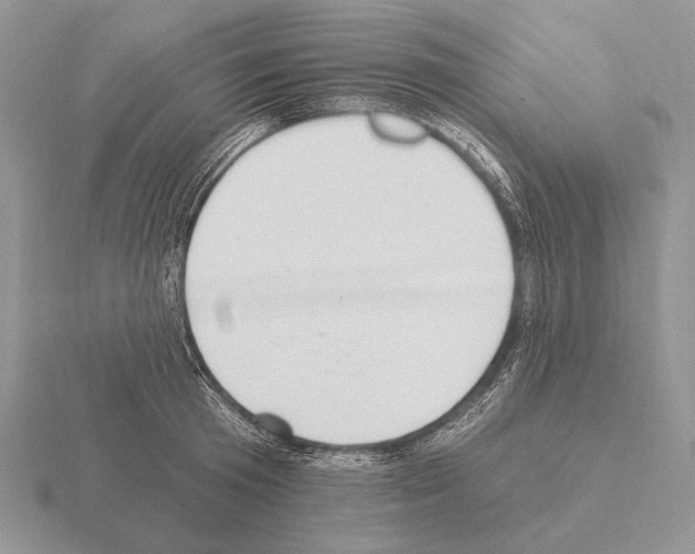 X0000115400801200912151519