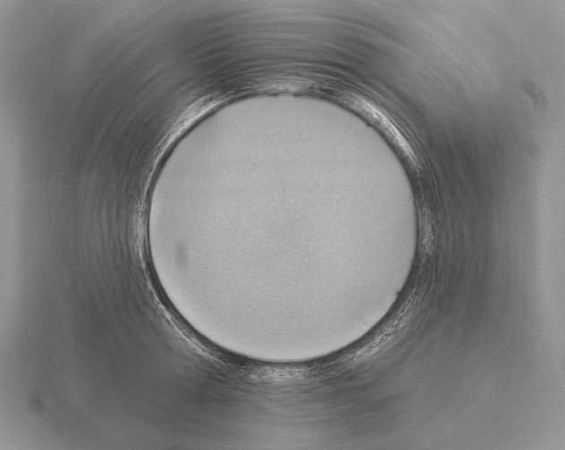 X0000115400802200912151519