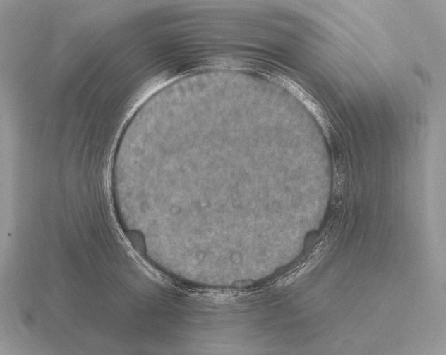 X0000115400803200912151519