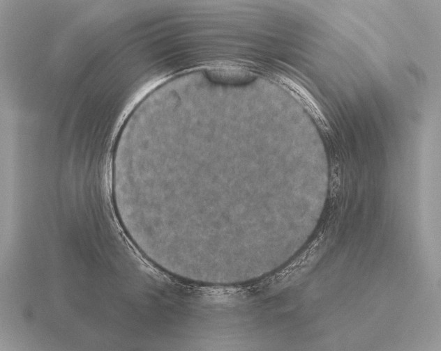 X0000115400804200912151519