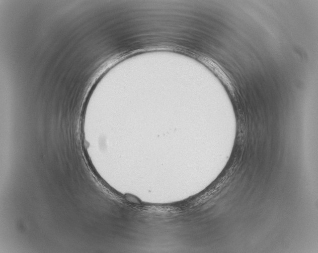 X0000115400805200912151519