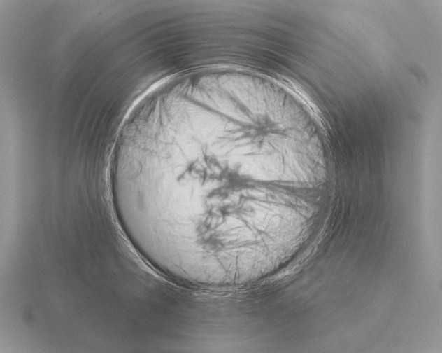 X0000115400806200912151519