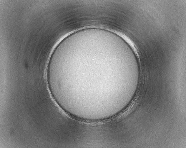 X0000115400807200912151519