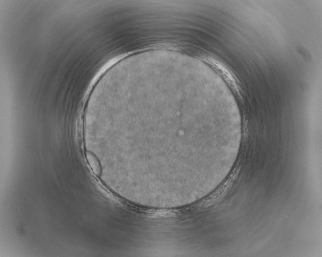 X0000115400808200912151519