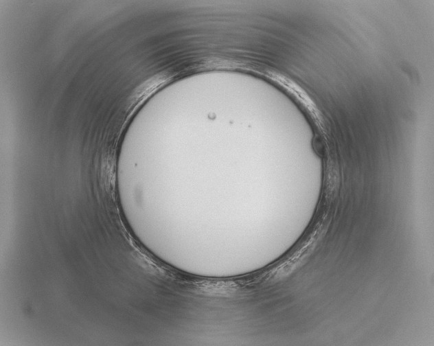 X0000115400809200912151519