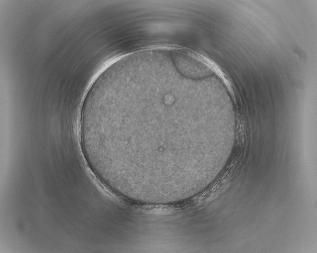 X0000115400811200912151519