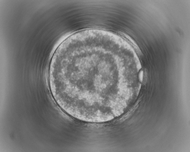 X0000115400812200912151519