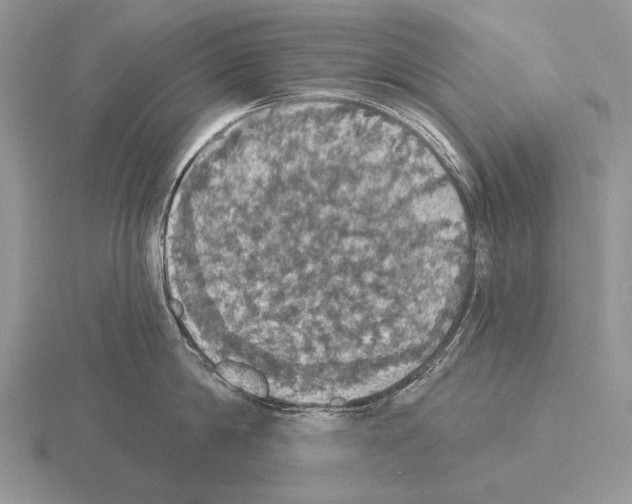 X0000115400814200912151519