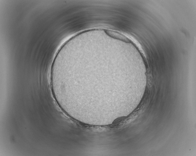 X0000115400815200912151519