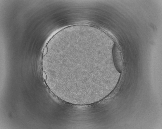 X0000115400816200912151519