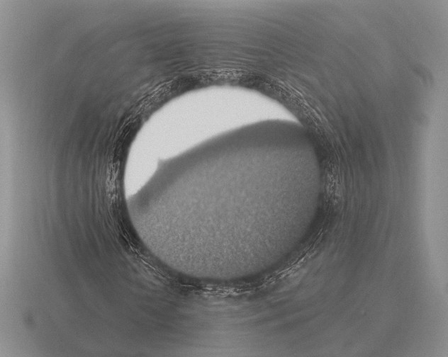 X0000115400818200912151518