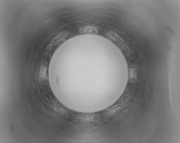 X0000115400820200912151518