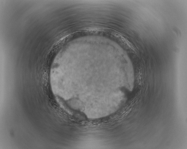 X0000115400821200912151518