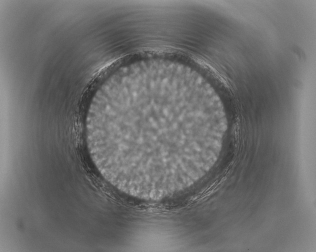 X0000115400822200912151518