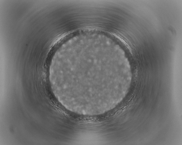 X0000115400823200912151518