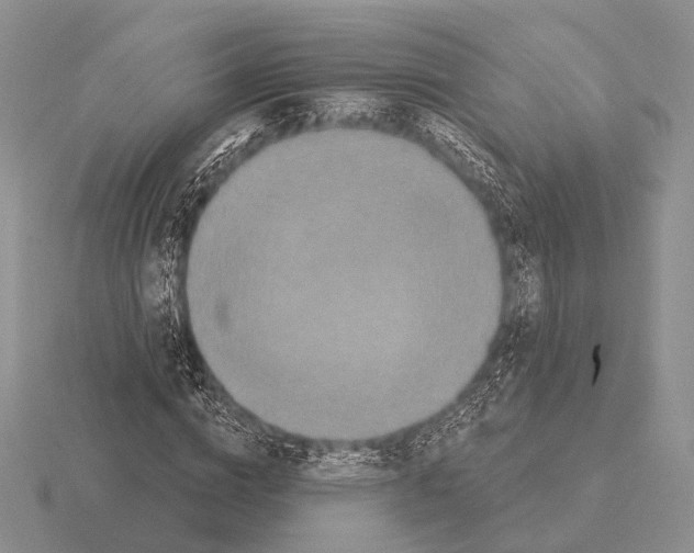 X0000115400824200912151518