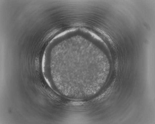 X0000115400825200912151518