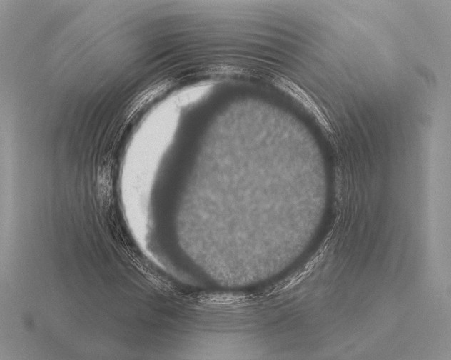 X0000115400826200912151518