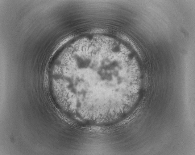 X0000115400827200912151519