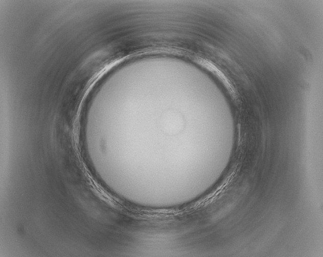 X0000115400828200912151519