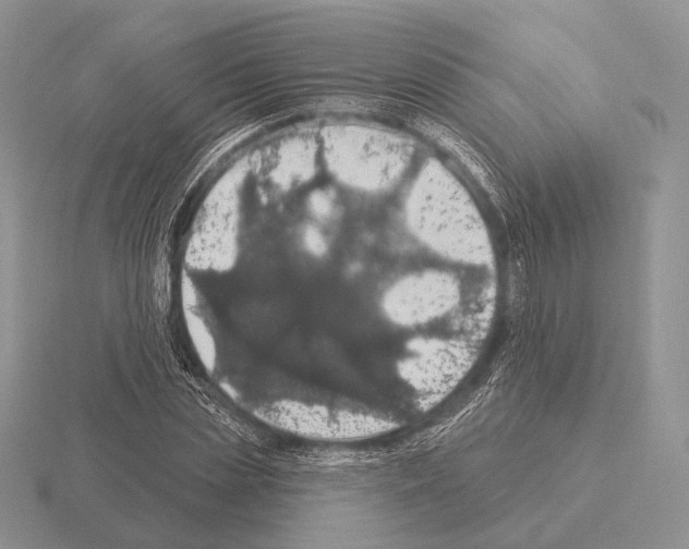 X0000115400829200912151519