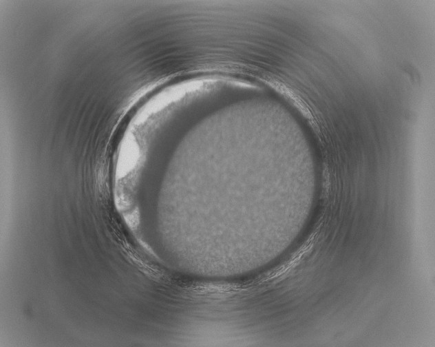 X0000115400830200912151519