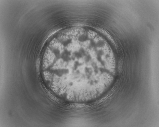 X0000115400831200912151519