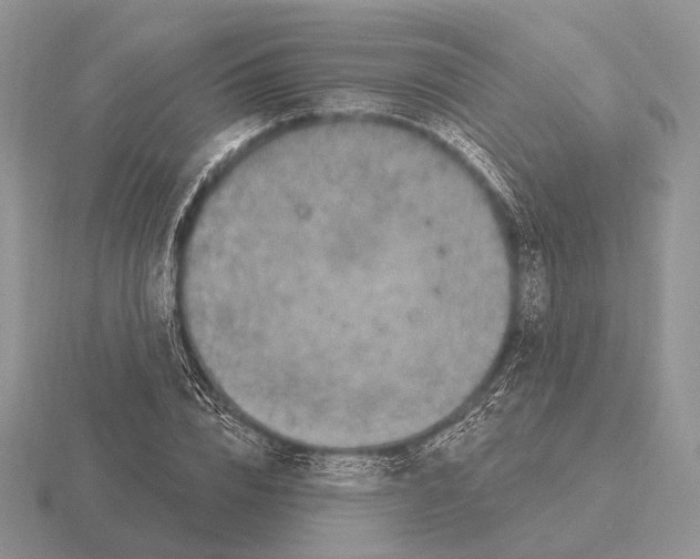 X0000115400832200912151519