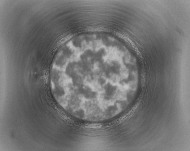 X0000115400833200912151519