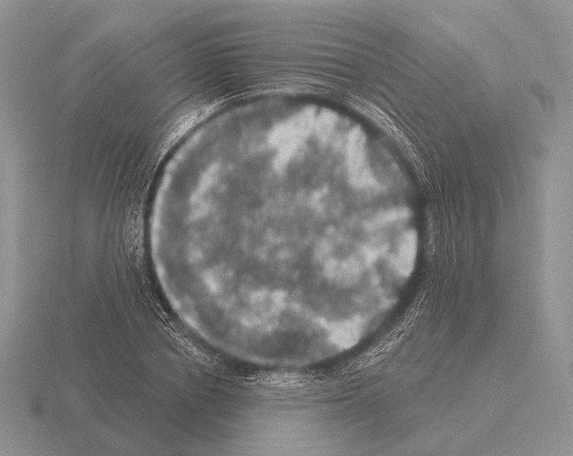 X0000115400834200912151519