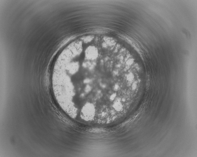 X0000115400835200912151519