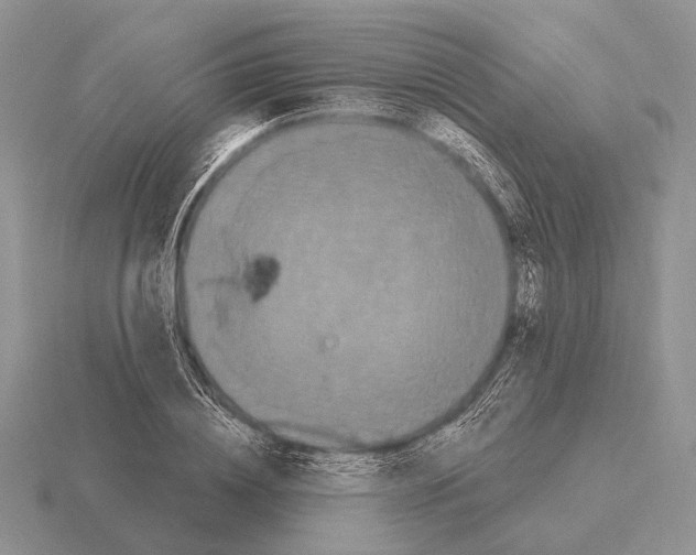 X0000115400836200912151519