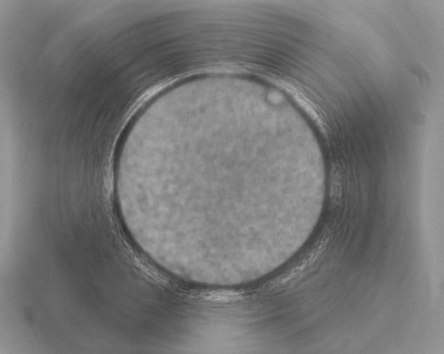 X0000115400837200912151519